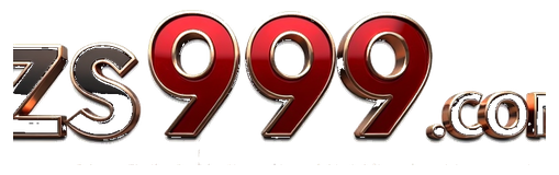 zs999a com logo